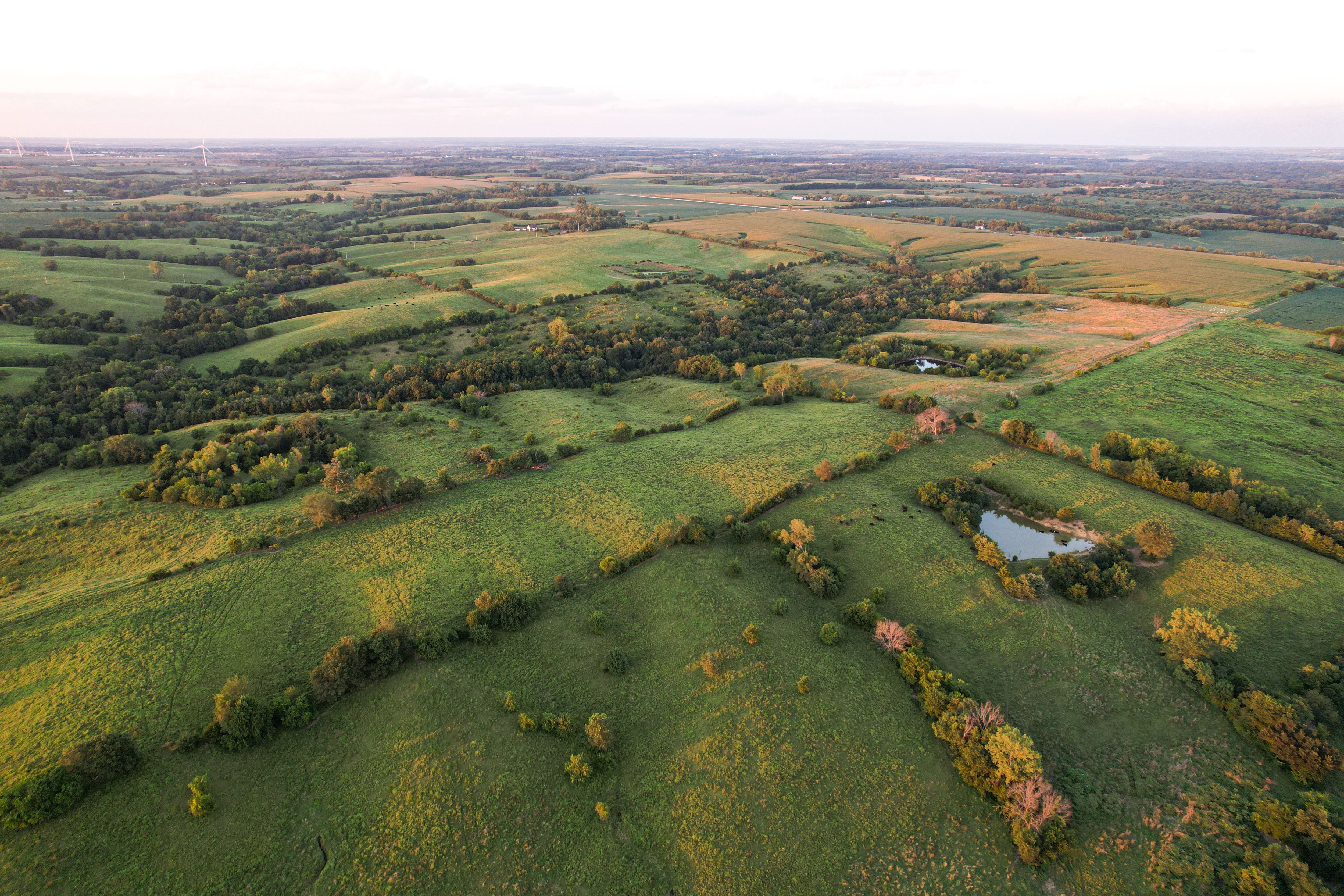 Listing Photo: Photo Aug 20 2025, 7 49 15 PM